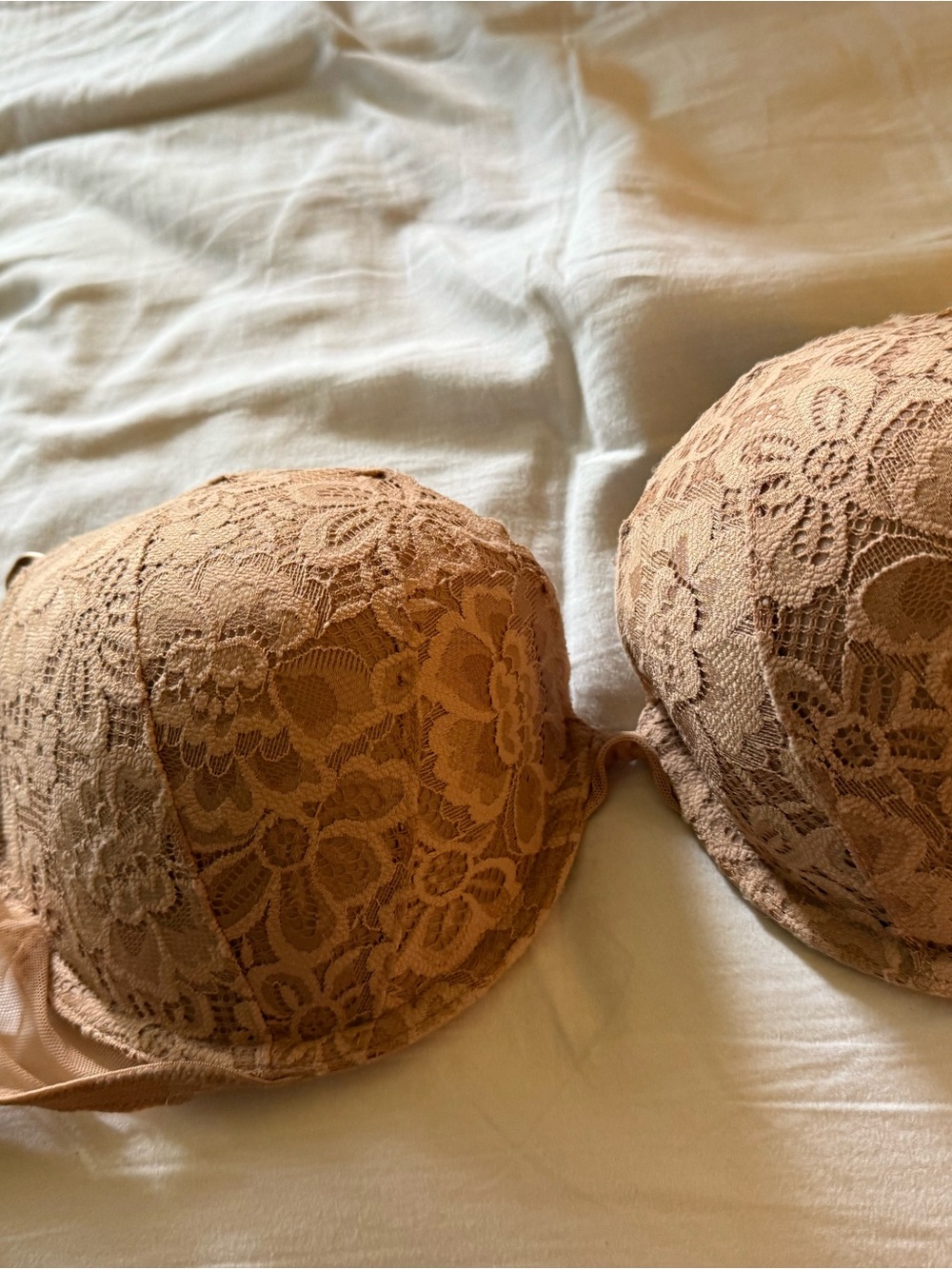 Victoria's Secret Lace Push-Up Bra in Tan